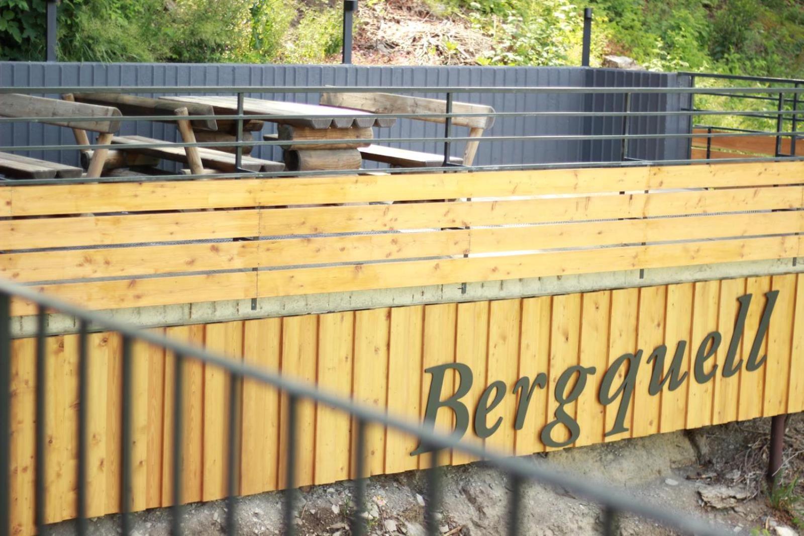 Haus Bergquell App 4 Apartment Willingen  Bagian luar foto